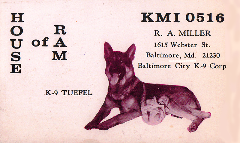 RAM Card featurig Tuefel 72